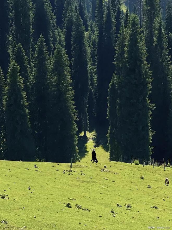 北疆旅游8天7晚畅玩攻略怎么联系北疆本地导游？(图3)