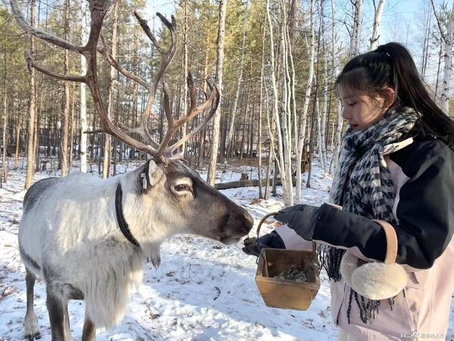 带小孩去雪乡旅游4天3晚攻略雪乡金牌导游电话(图4)