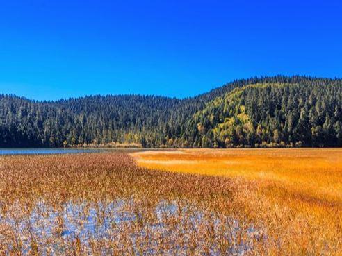 云南香格里拉旅游攻略带父母5天4晚轻松游路线+无障碍设施+餐厅(图2)