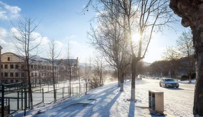 【青岛四日游报团攻略|正规旅行社排名TOP10及详细行程规划】(图1)