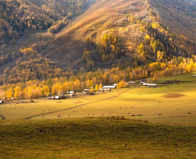 2026南疆口碑最好的旅行社前十强深度人文线路游客好评如潮！(图3)