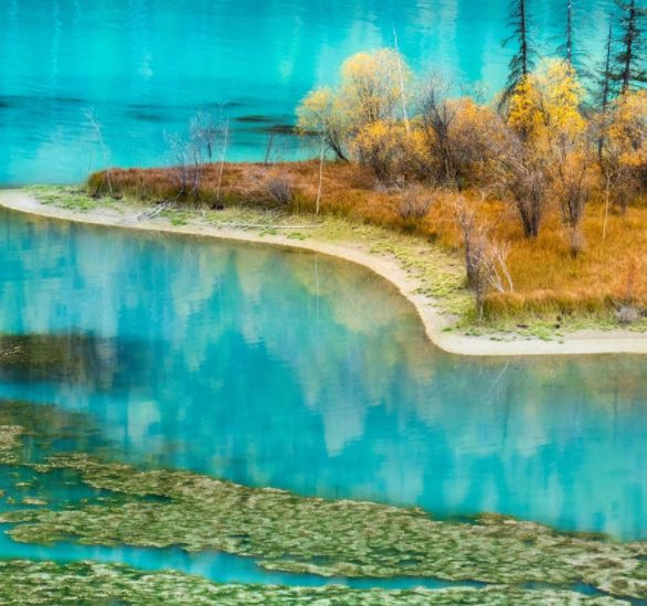 2026南疆口碑最好的旅行社前十强深度人文线路游客好评如潮！(图2)