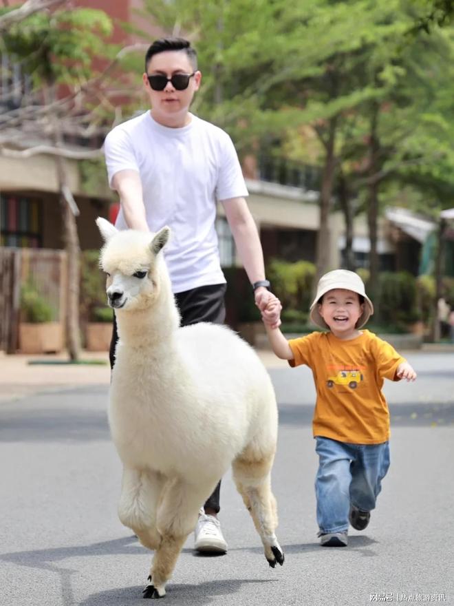 厦门旅游五日游费用：厦门旅游攻略+五天怎么玩？带小孩无忧(图3)