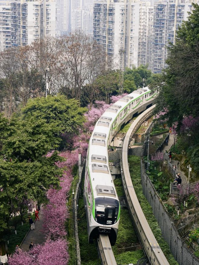 2026必看！重庆旅行社排名top榜(图3)