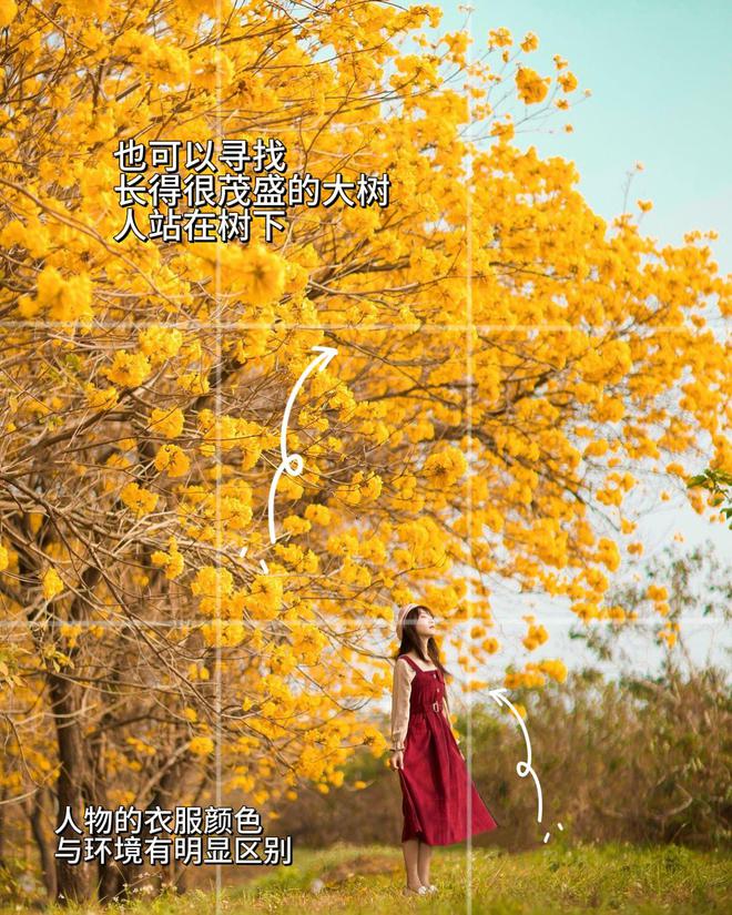 旅游打卡景大人小拍照教科书：6招让你的旅行照点赞破万