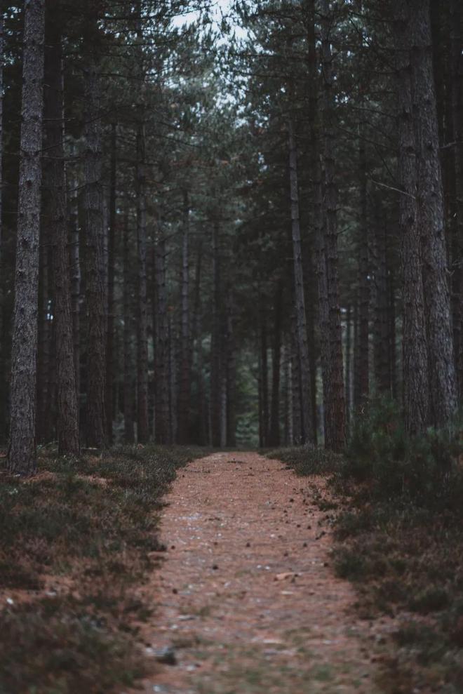 全球十大最美徒步旅行路线！你去过几个？(图18)