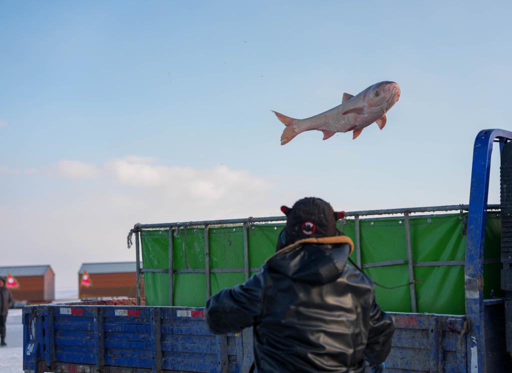 “查干湖冬捕文化带动东北小城旅游热