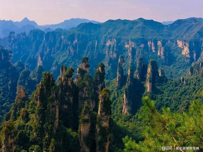 张家界五天旅游攻略：春节带娃必看森林公园+天门山本地导游(图4)