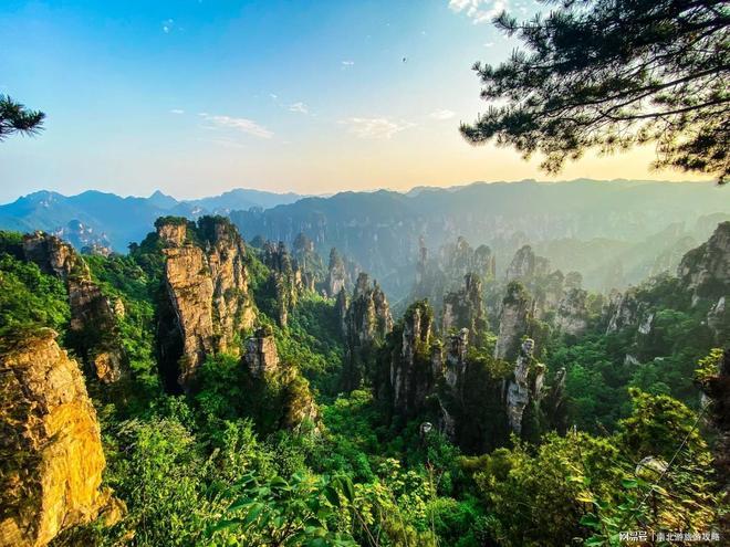 张家界五天旅游攻略：春节带娃必看森林公园+天门山本地导游(图3)